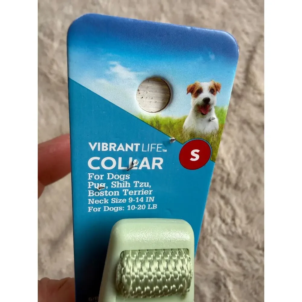 Vibrant Life Small Dog Collar Mint Green NWT